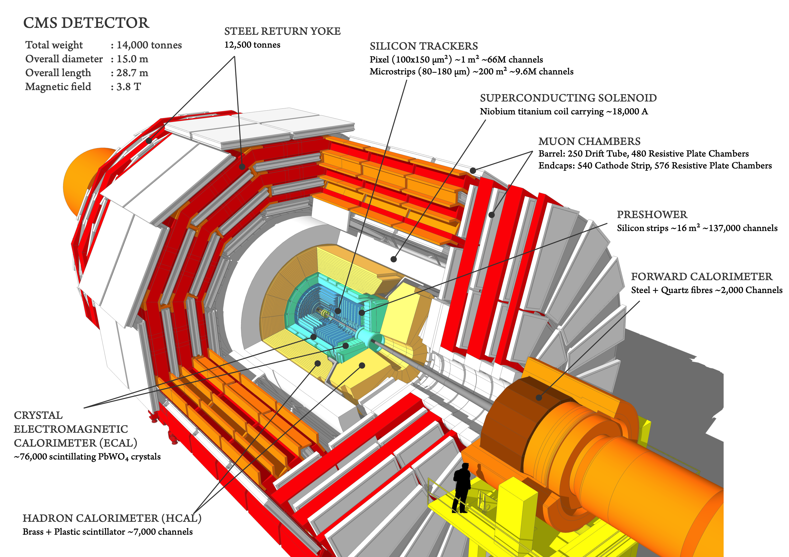Cutaway diagrams of CMS detector